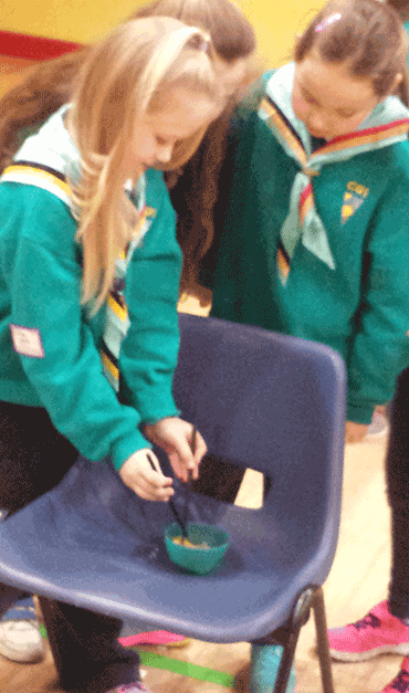 Meeting Activities by Brigins, Cygnets and Guides