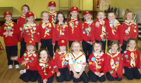 Cygnets with Leis