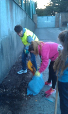 Raheny Guides Tidy Village