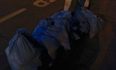 Raheny Guides Tidy Village